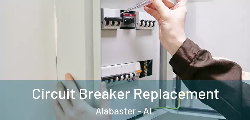  Circuit Breaker Replacement Alabaster - AL