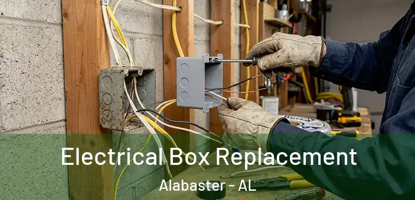  Electrical Box Replacement Alabaster - AL