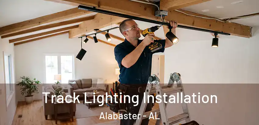  Track Lighting Installation Alabaster - AL